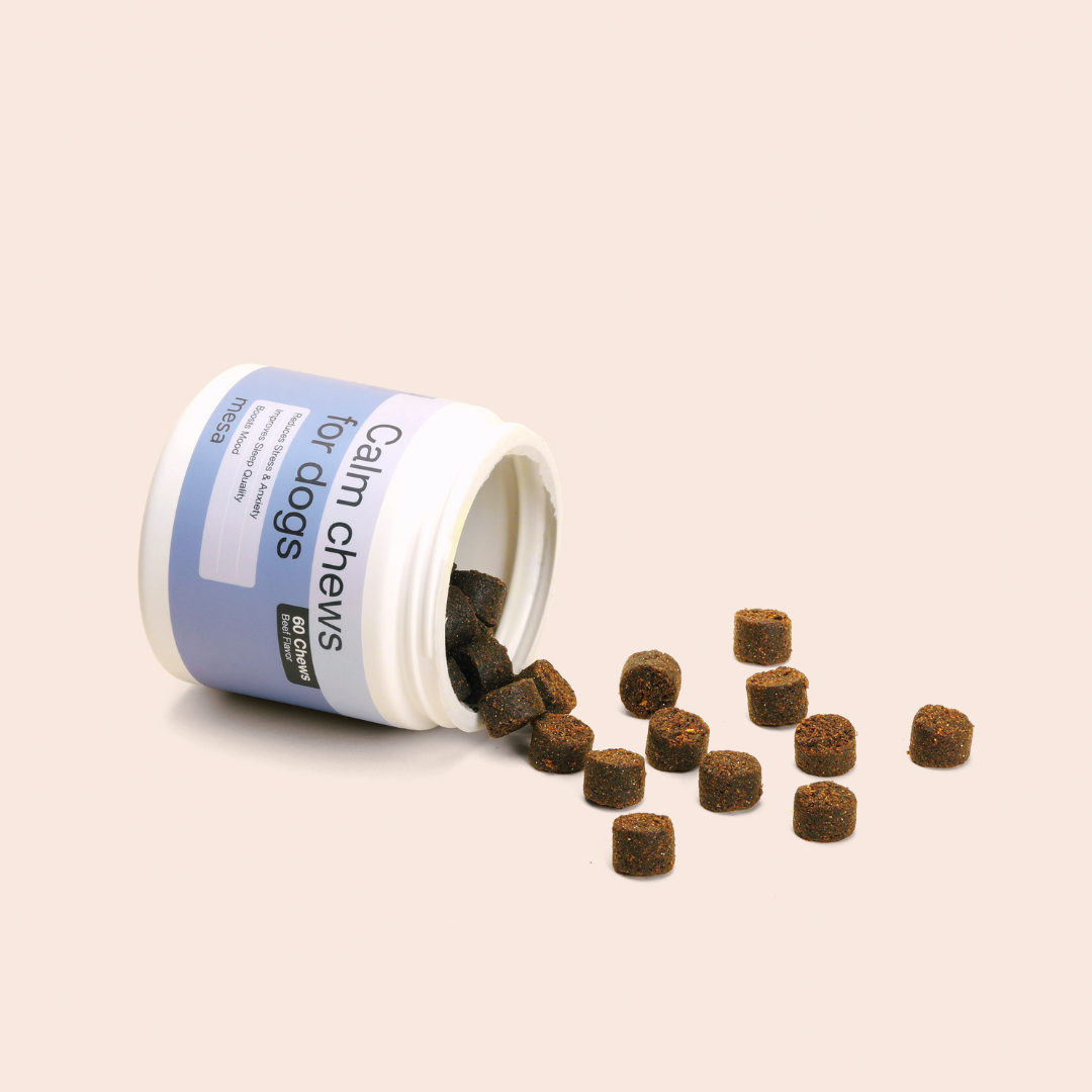 calm chews spilling out of jar