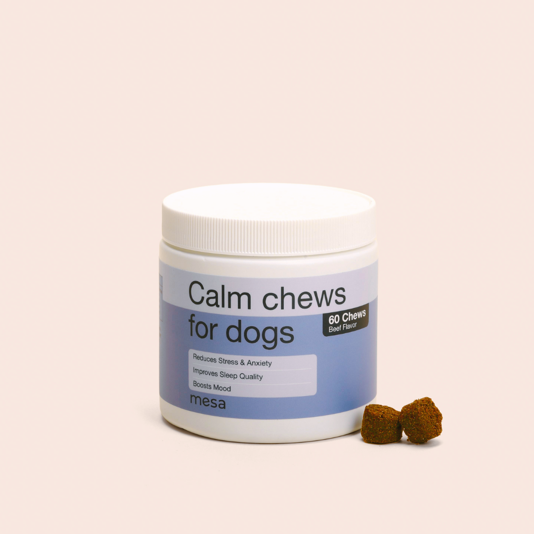 calm chews next to jar