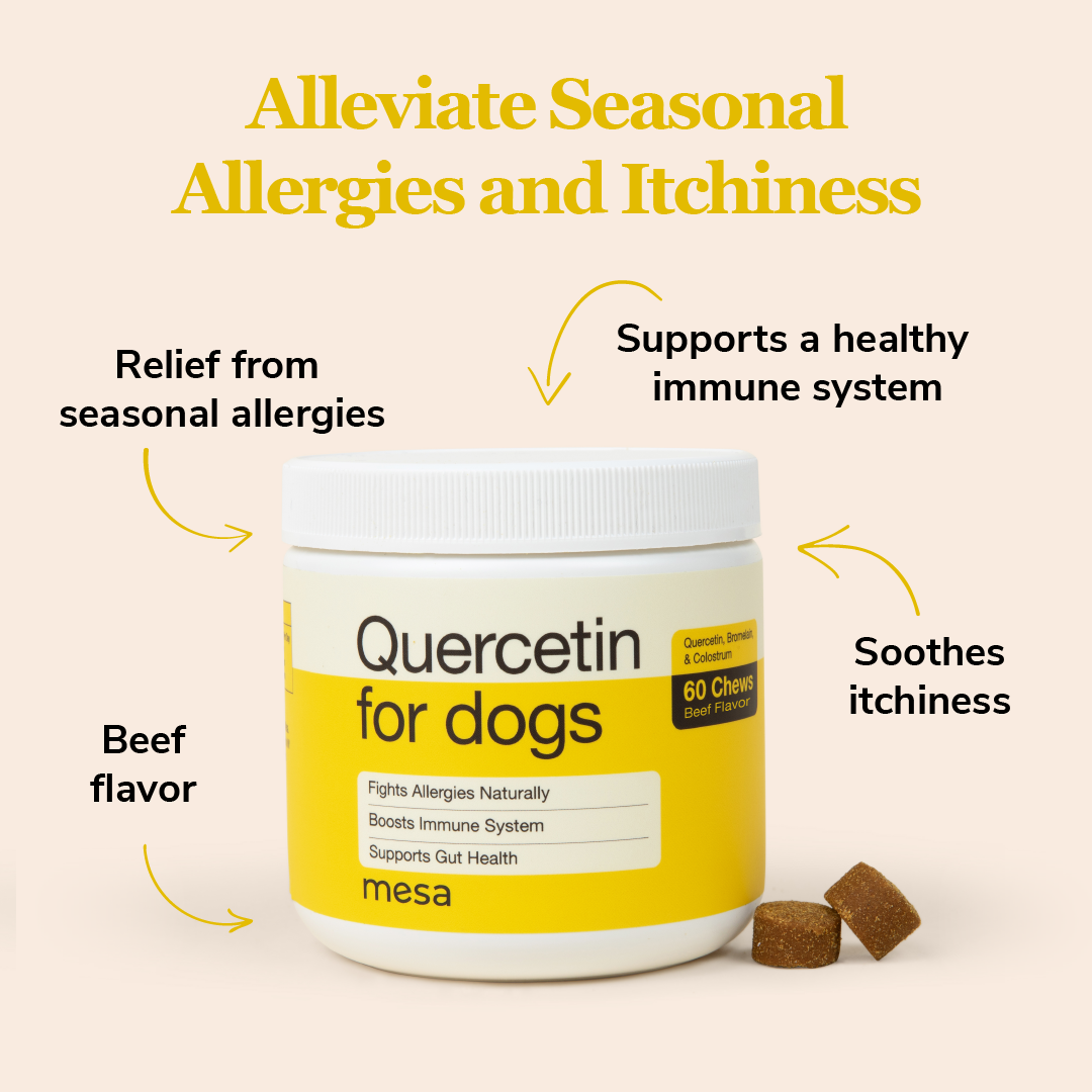 allergy formula for dogs highlights