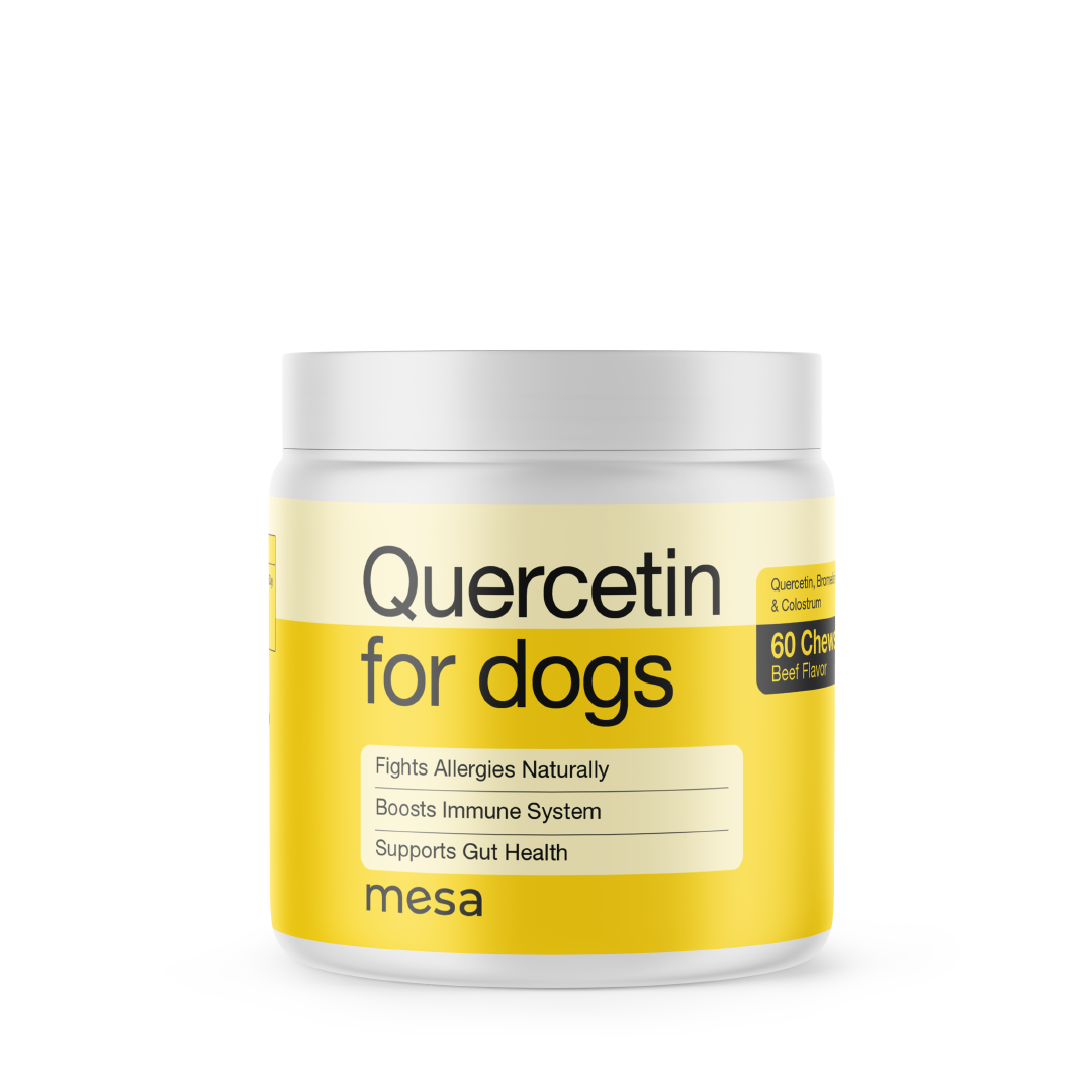quercetin dog chews with a yellow label