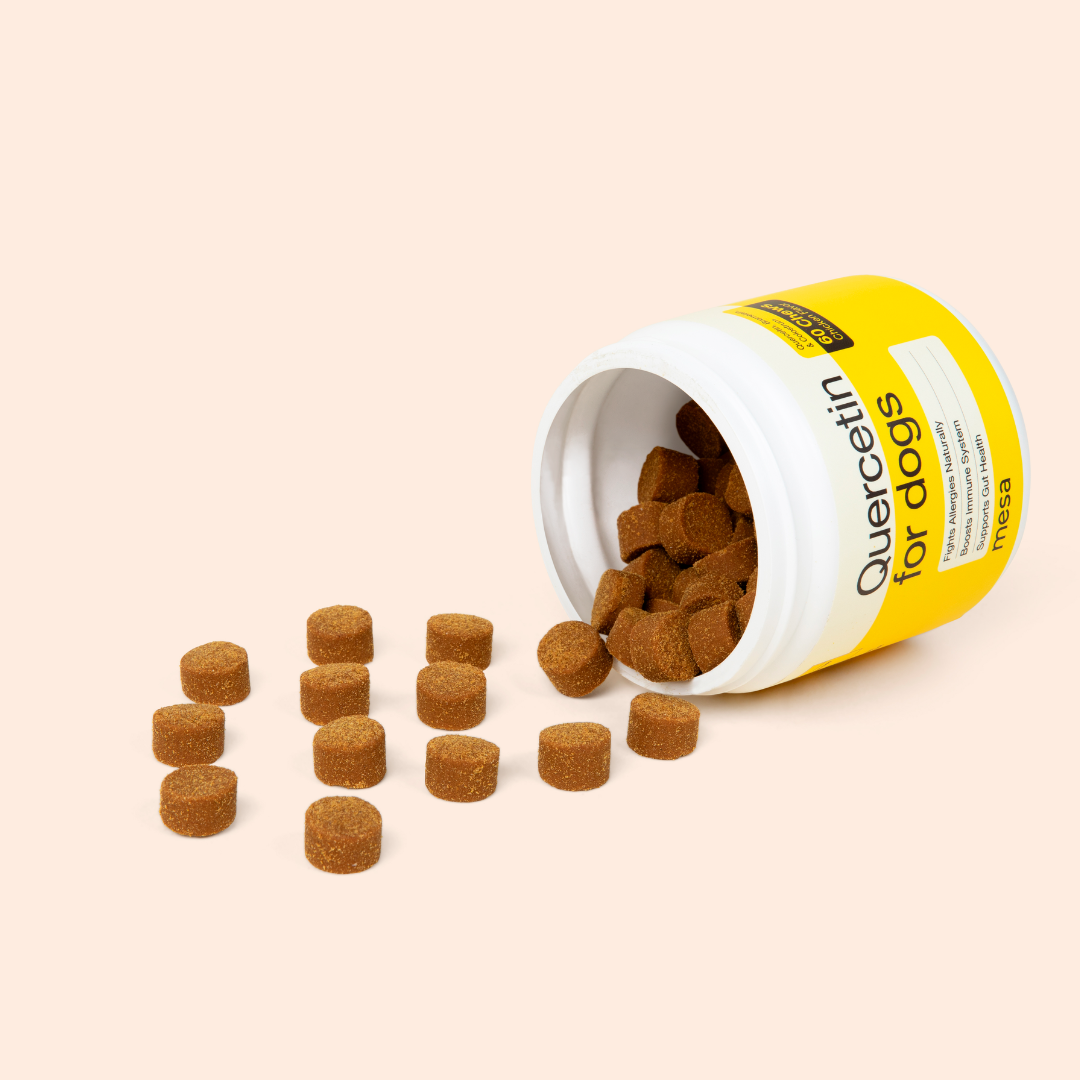 Quercetin Allergy & Itch Chews for Dogs
