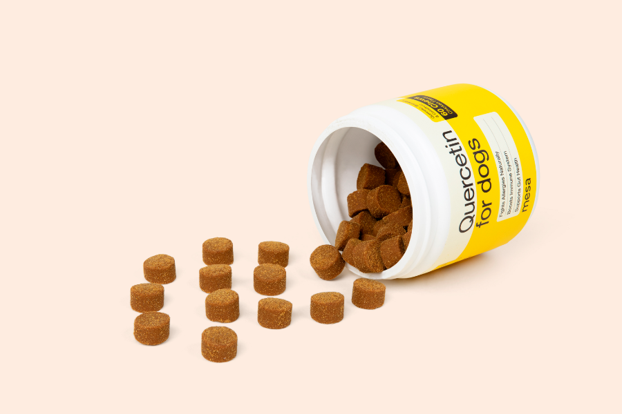 quercetin dog chews spilling